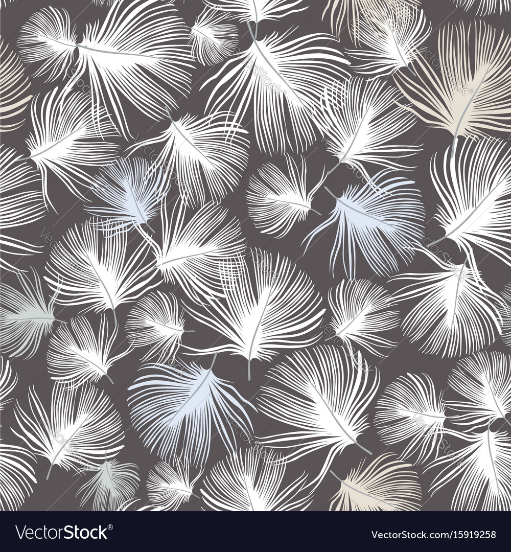 Feather pattern white feathers on gray background Vector Image