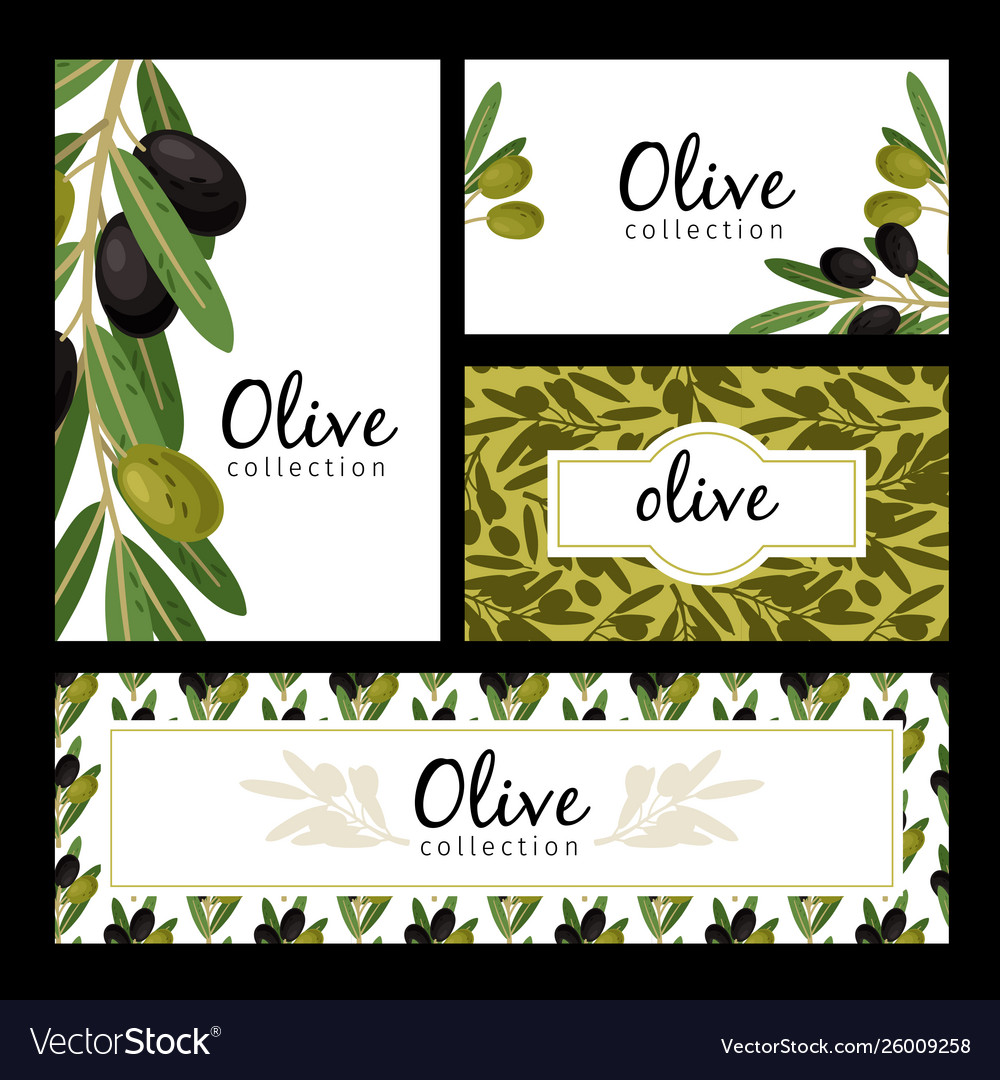 Olive leaves and berries cards