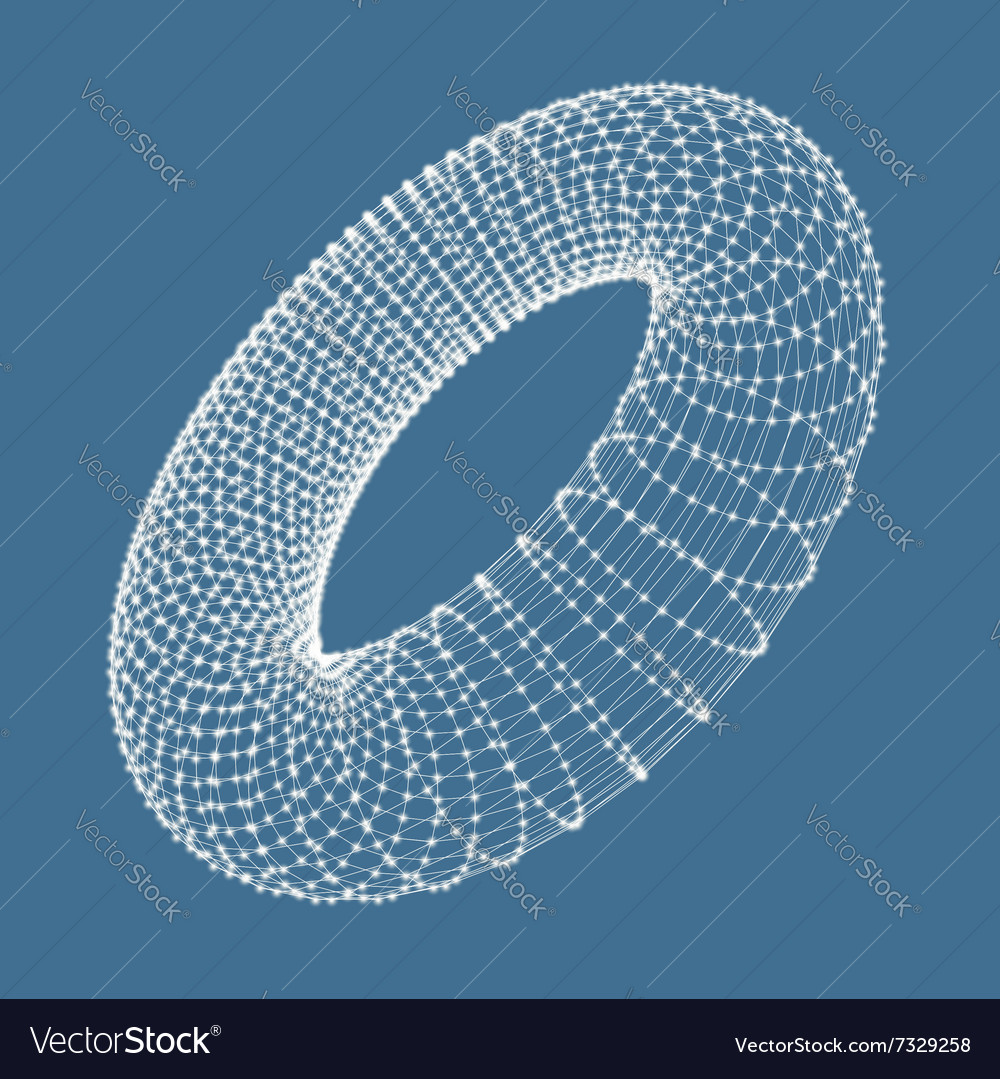 Torus connection structure 3d