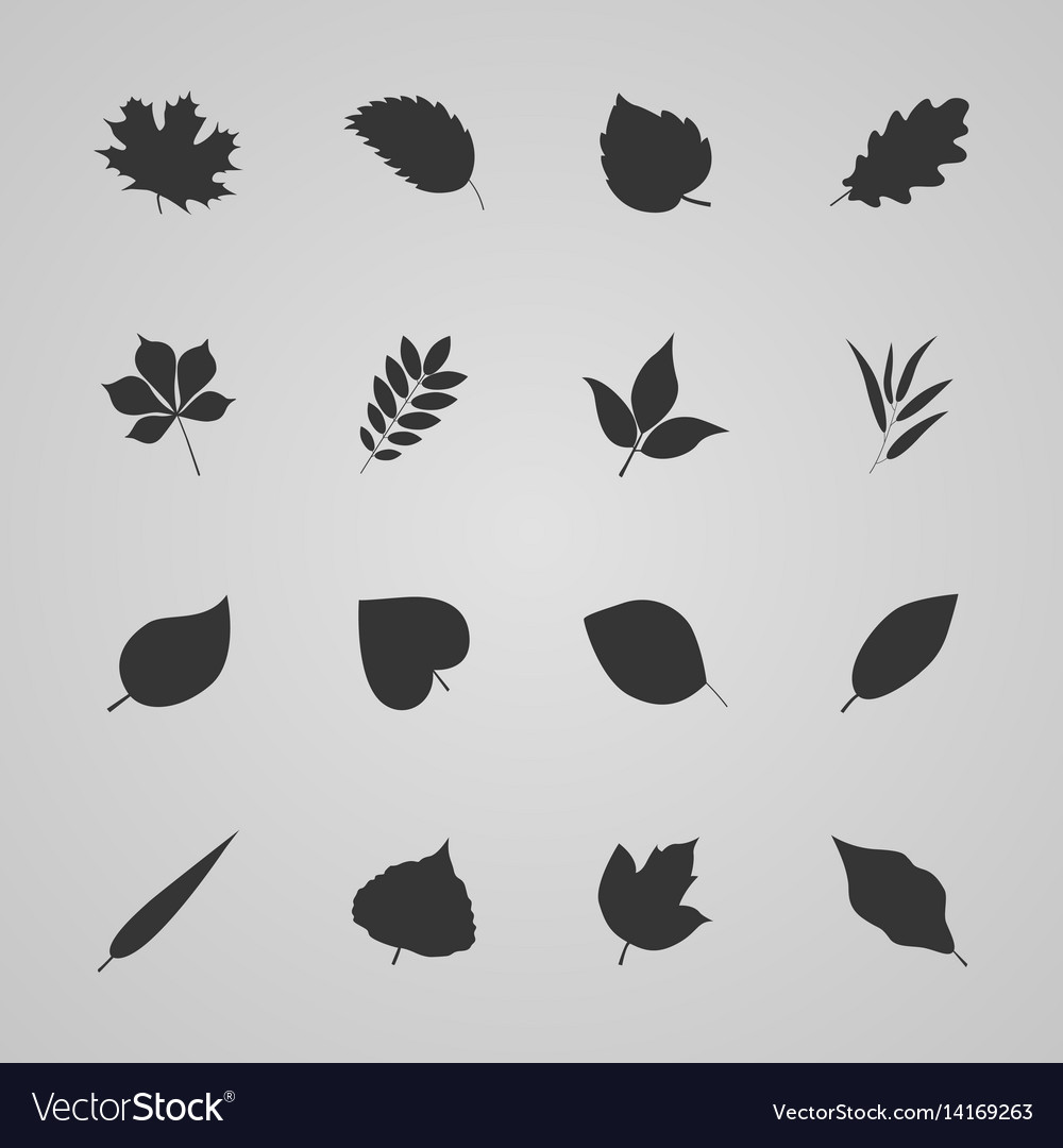 Set of leaves