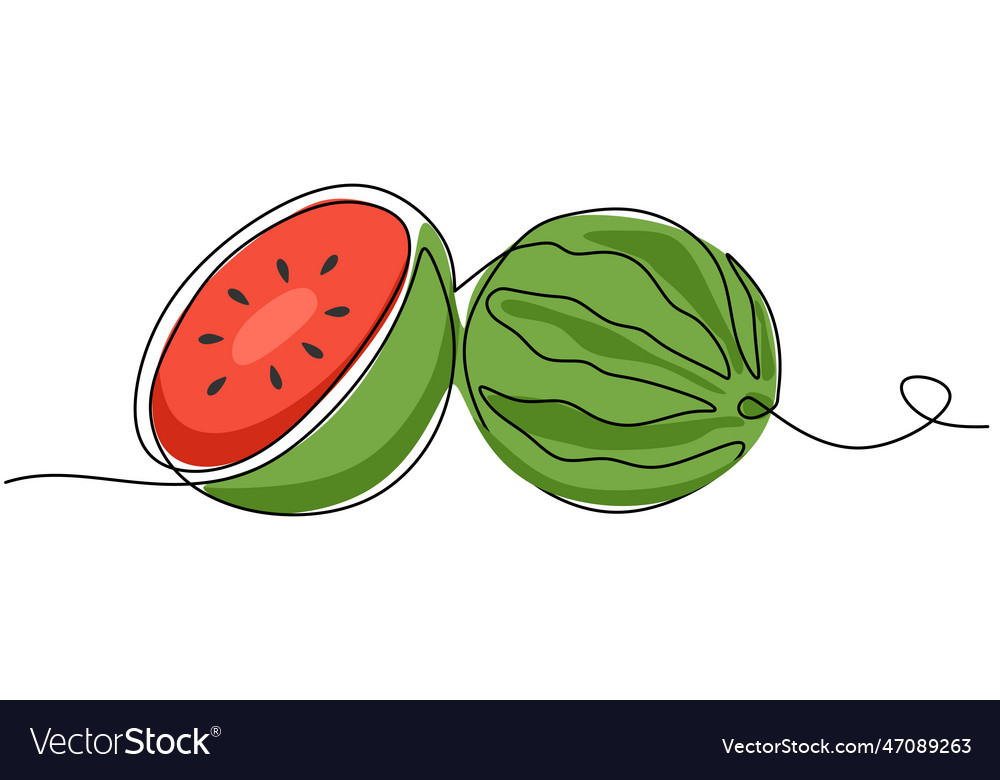 Watermelon continuous one line drawing fruit vector image Watermelon continuous one line drawing fruit