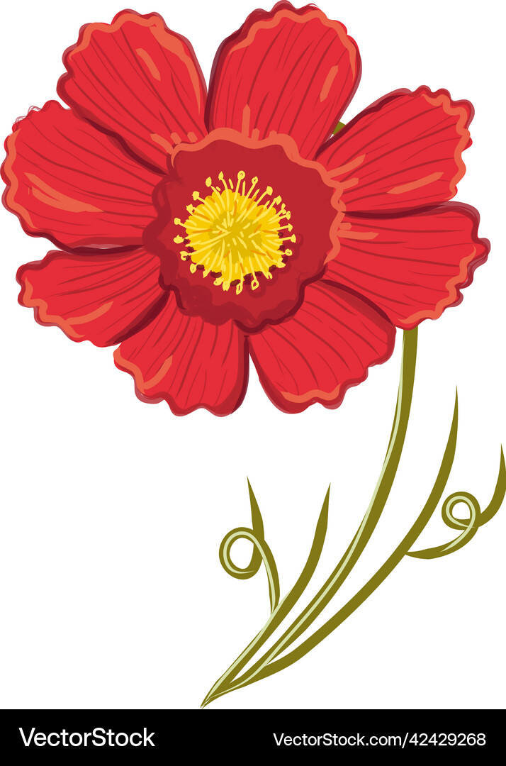 Flower Royalty Free Vector Image - VectorStock