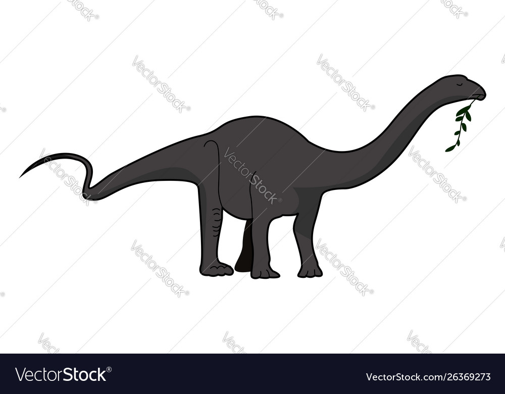 Apatosaurus eating on white background