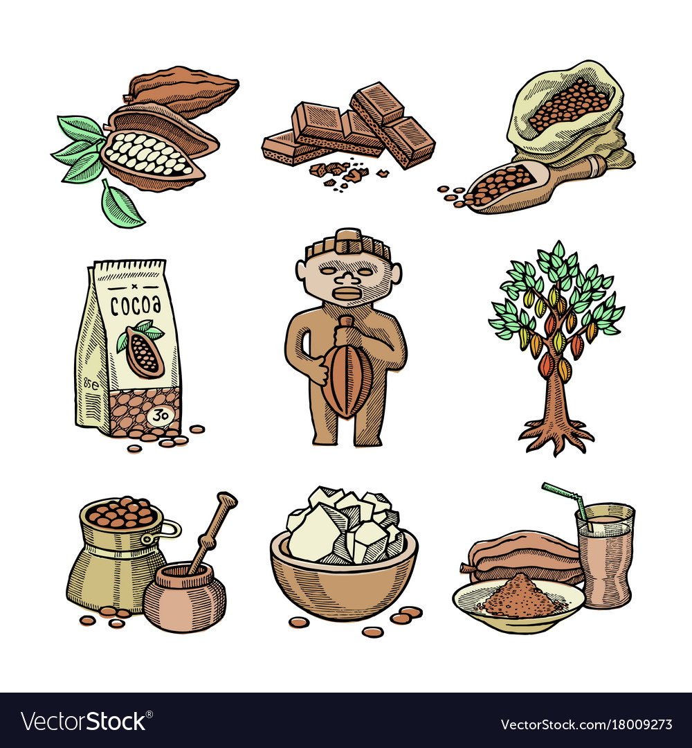 Cocoa Bean Sketch Icons