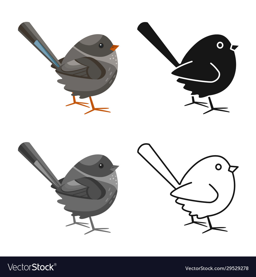 Design bird and sparrow logo collection