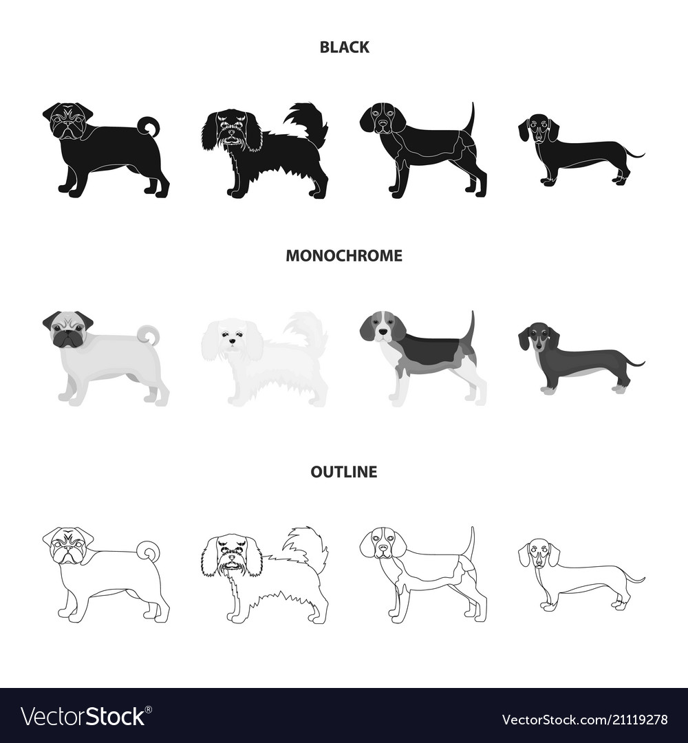 Dog breeds blackmonochromeoutline icons in set Vector Image