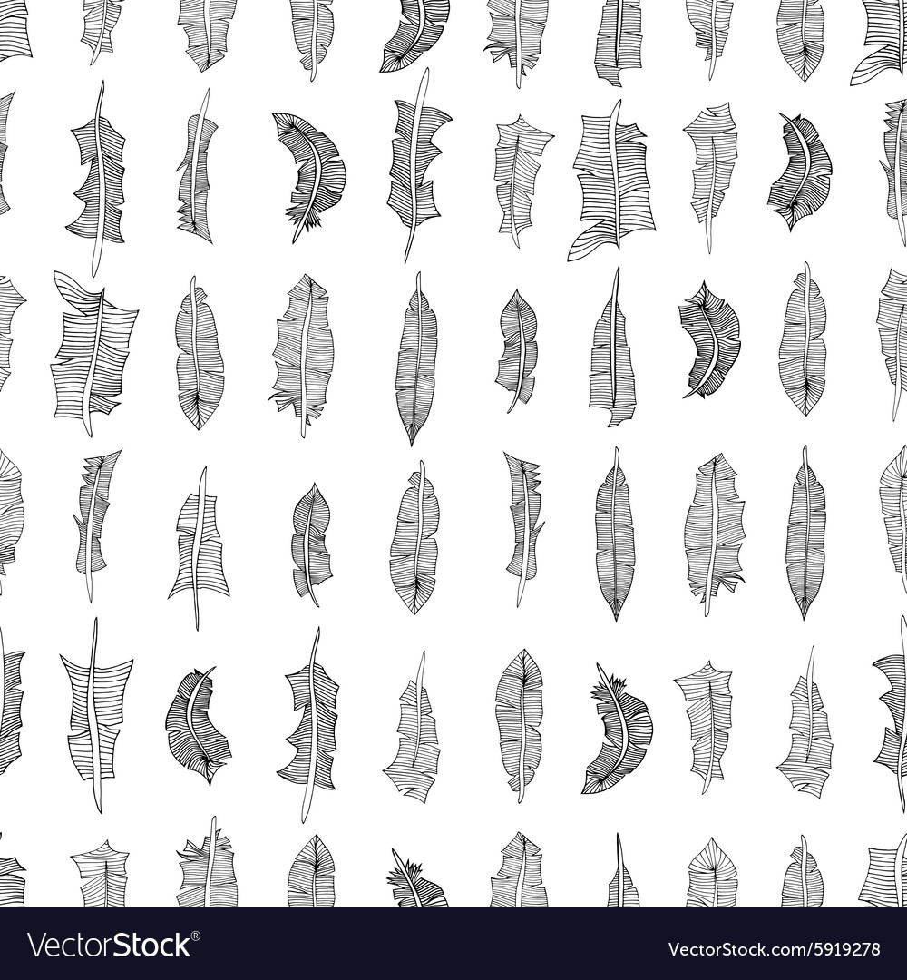 Feathers pattern