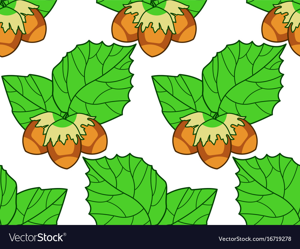 Hazel leaf and nuts pattern