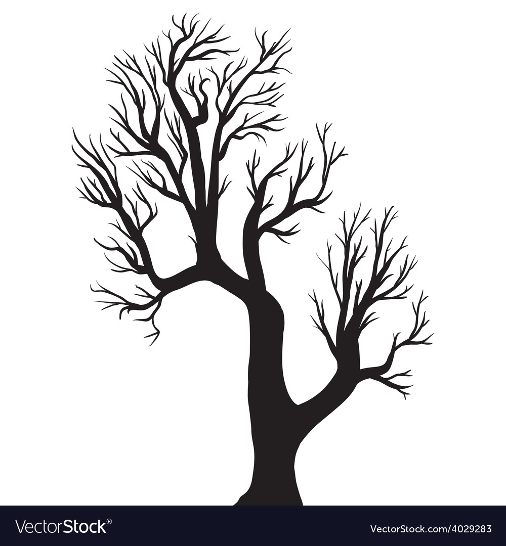 Drawing of the tree Royalty Free Vector Image - VectorStock