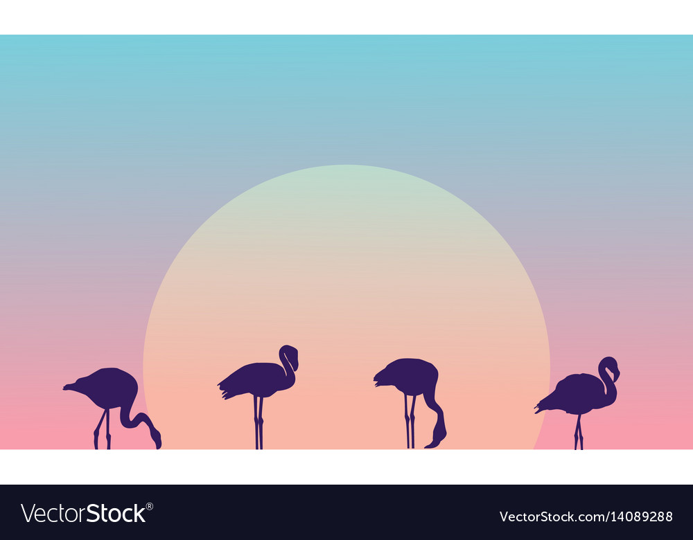 Beauty landscape at morning with flamingo