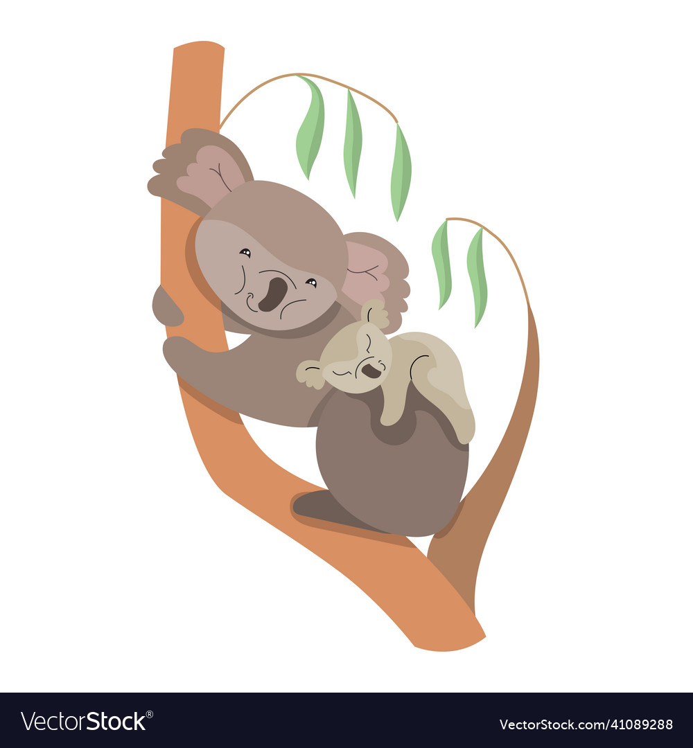 Cute characters koalas funny sleeping animals Vector Image