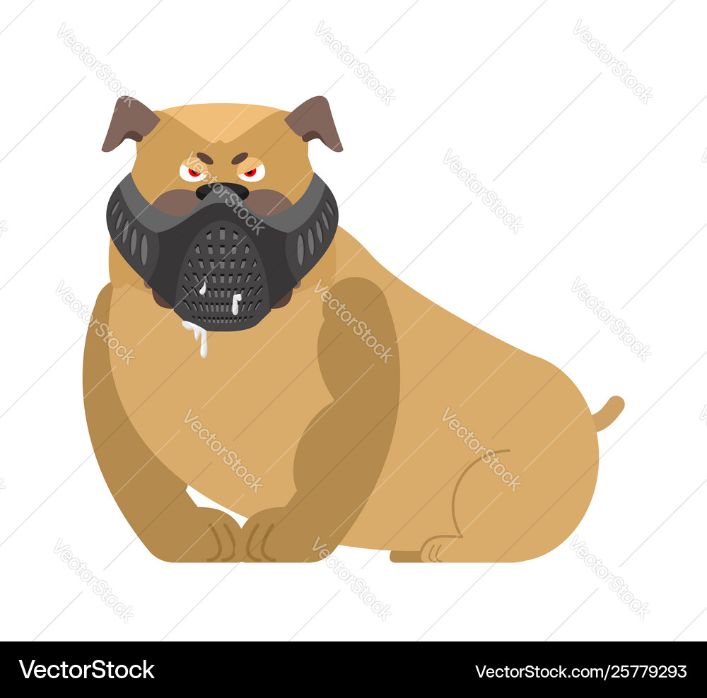 angry dog muzzle