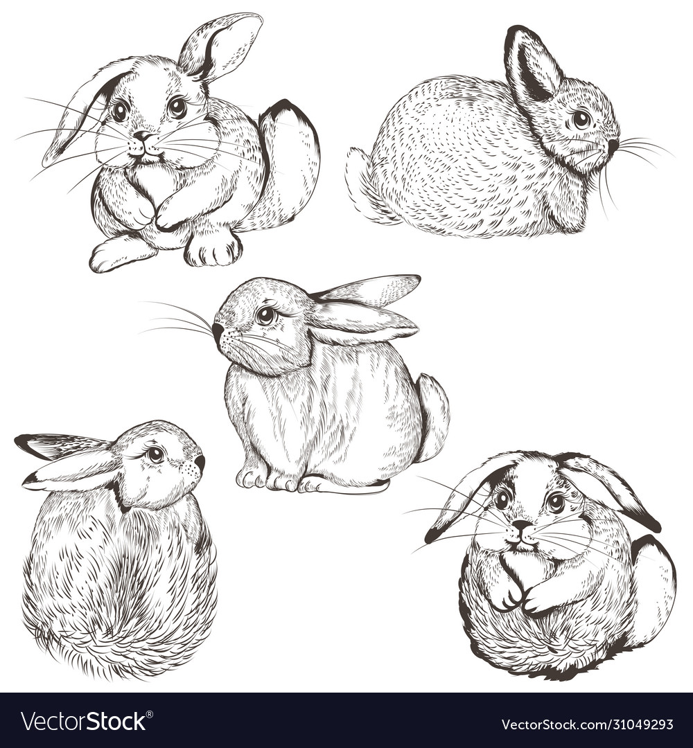 Collection cute bunnies for design Royalty Free Vector Image