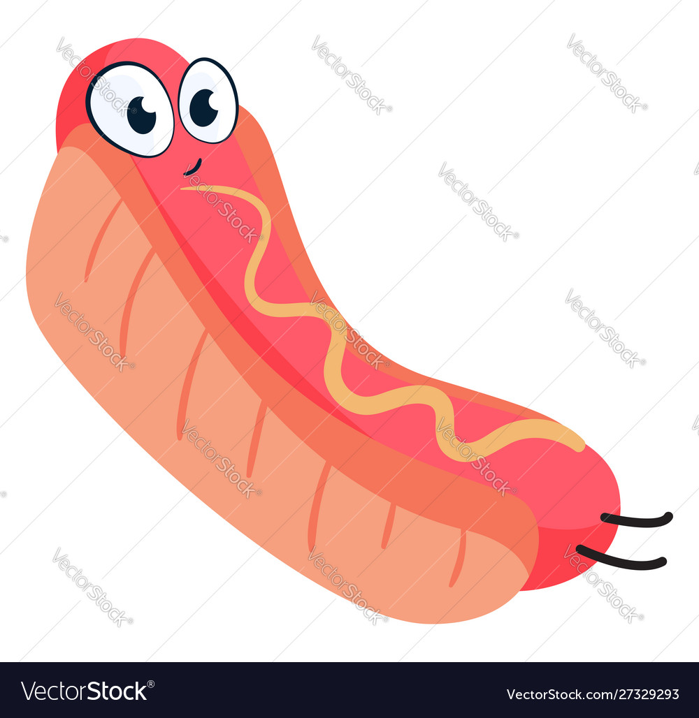 Hot dog on white background Royalty Free Vector Image