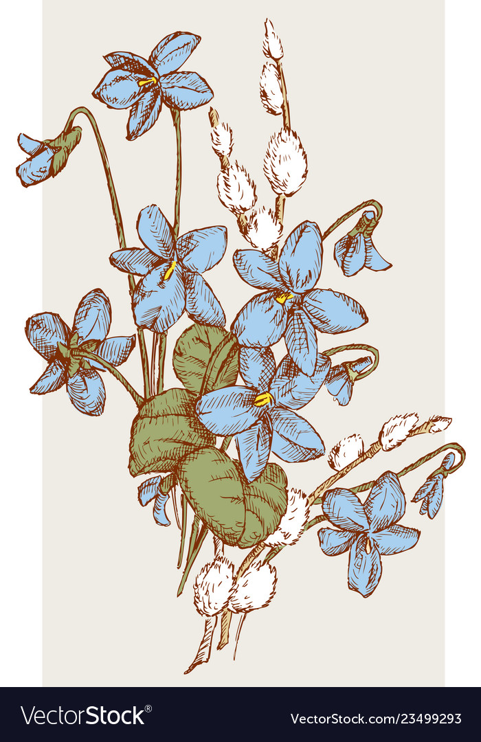 Spring nosegay of the violets and willow twigs