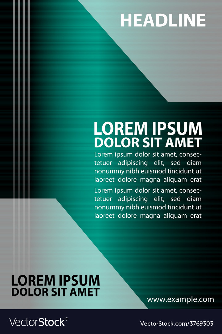 professional business flyer template or corporate vector image