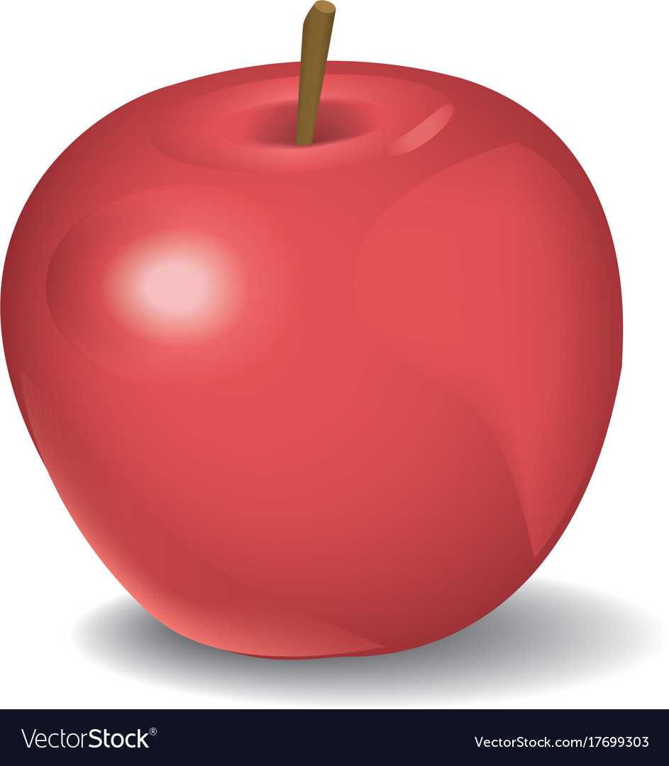 Red apple isolated on white Royalty Free Vector Image