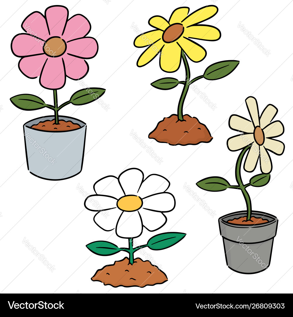 Set flower Royalty Free Vector Image - VectorStock