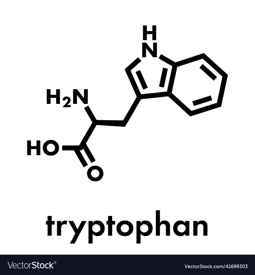 Tryptophan l-tryptophan trp w amino acid molecule Vector Image