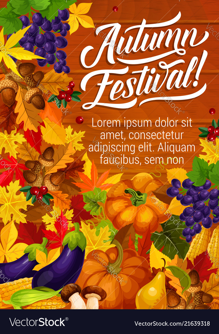 Autumn festival harvest season invitation poster Vector Image