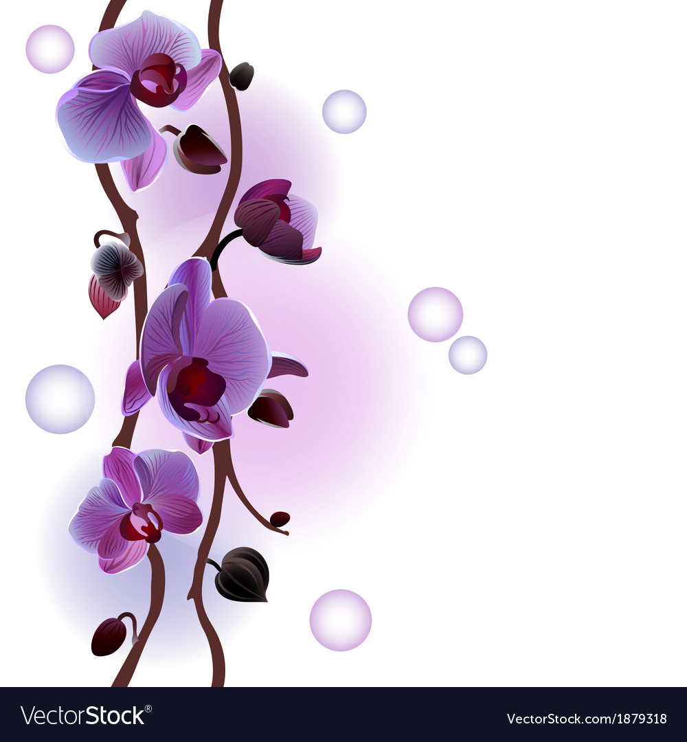 Orchid Branch Nahtlose Hintergrund