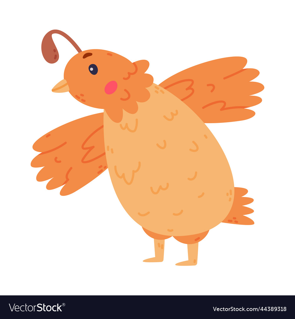 Quail bird with crest and feathers standing