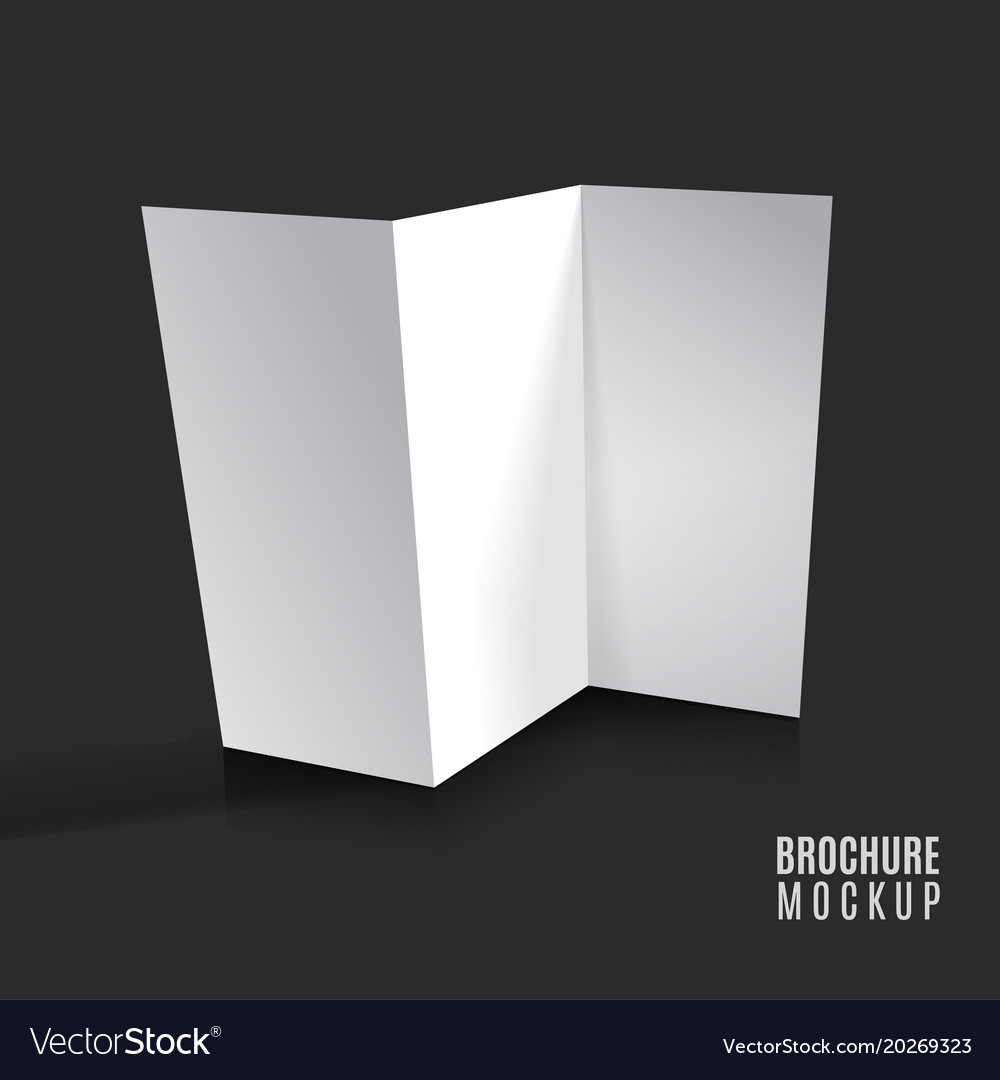 blank tri fold brochure design isolated royalty free vector