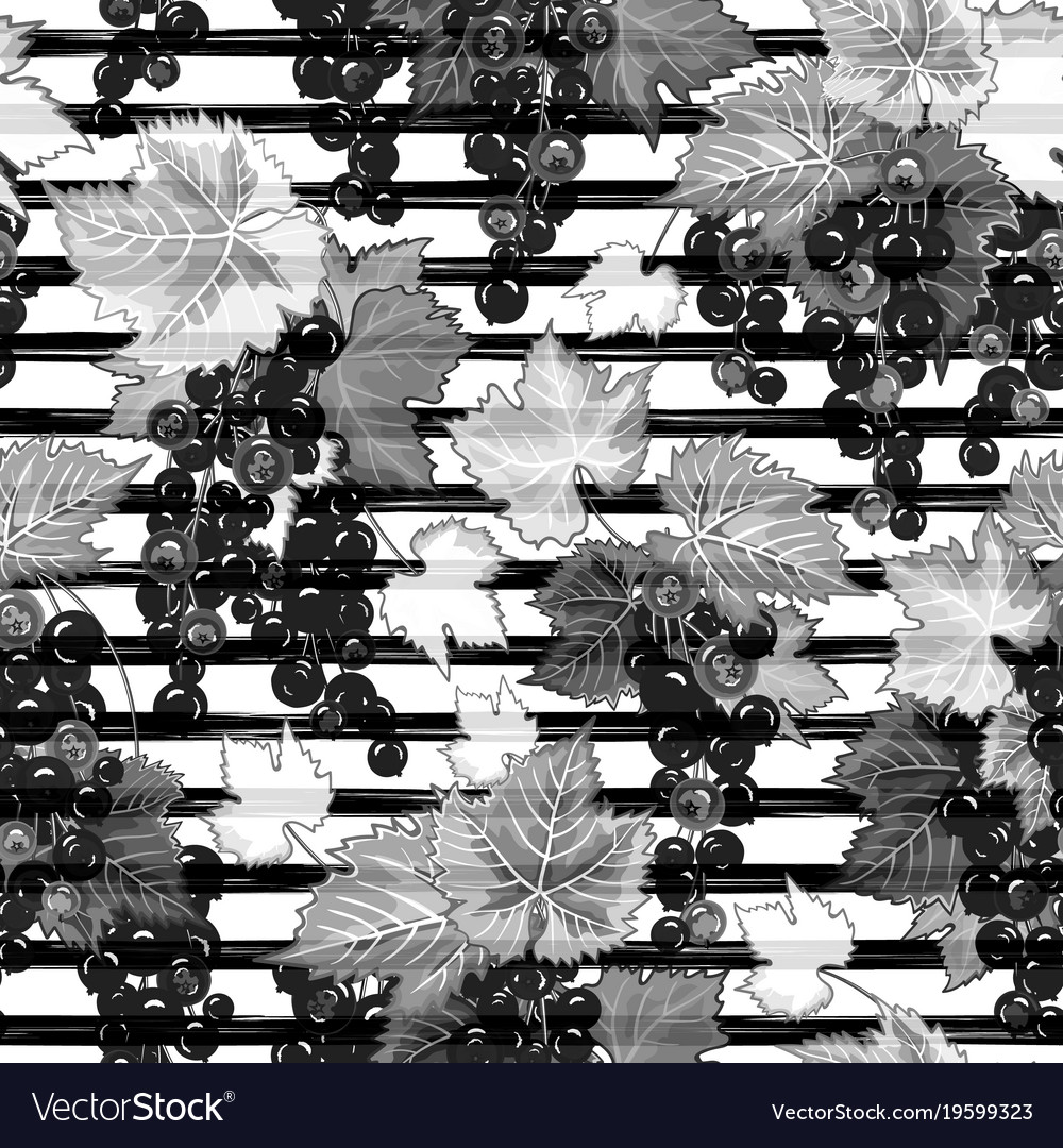 Seamless pattern with currant on strips summer