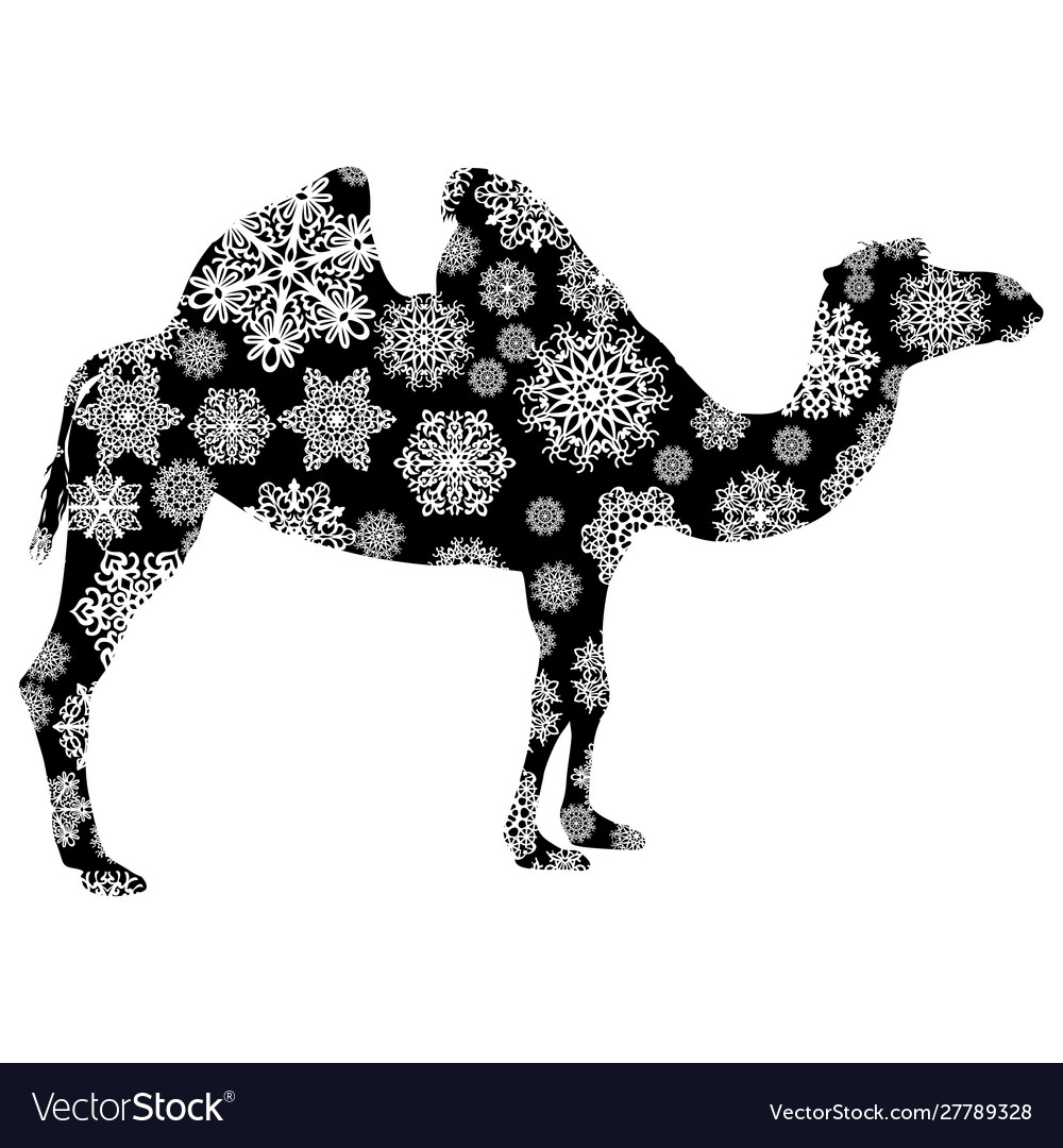 Christmas card camel in snowflakes on a white Vector Image Christmas card camel in snowflakes on a white