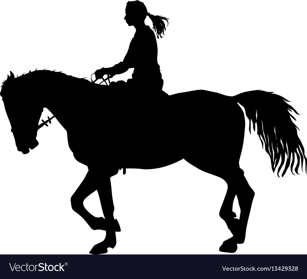 Silhouette of horse and jockey