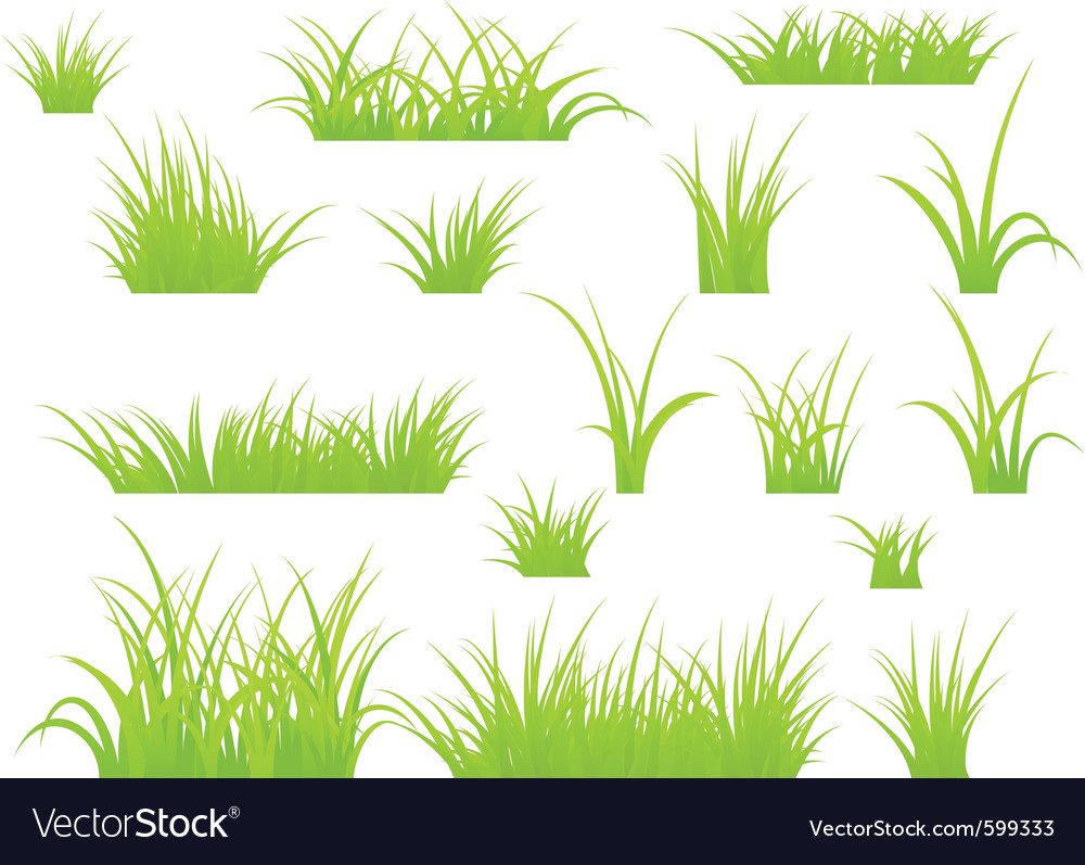 Patch deals of grass