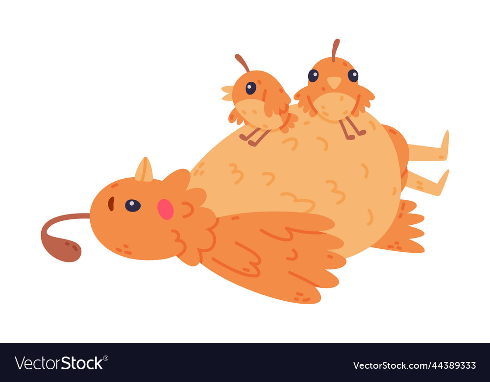 Quail bird with crest and feathers lying its