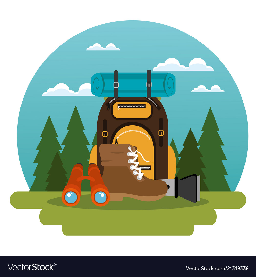 Camping zone with equipment Royalty Free Vector Image