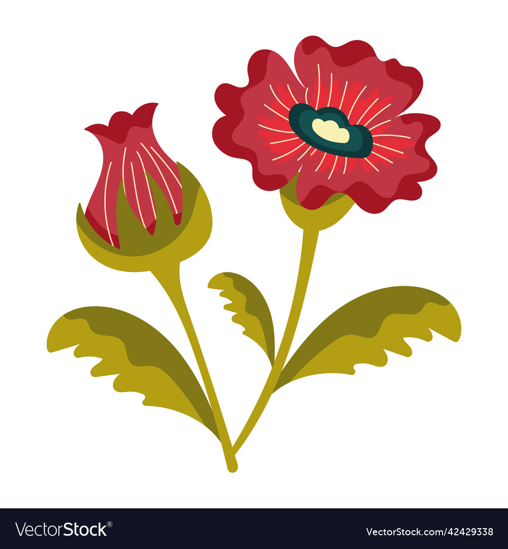 Geranium Royalty Free Vector Image - VectorStock