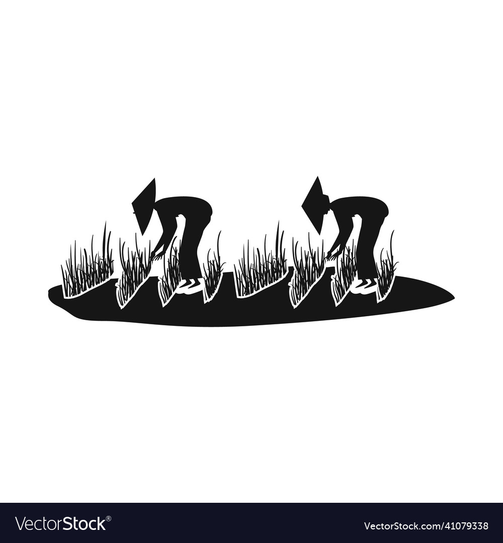 Isolated object of rice and field logo collection