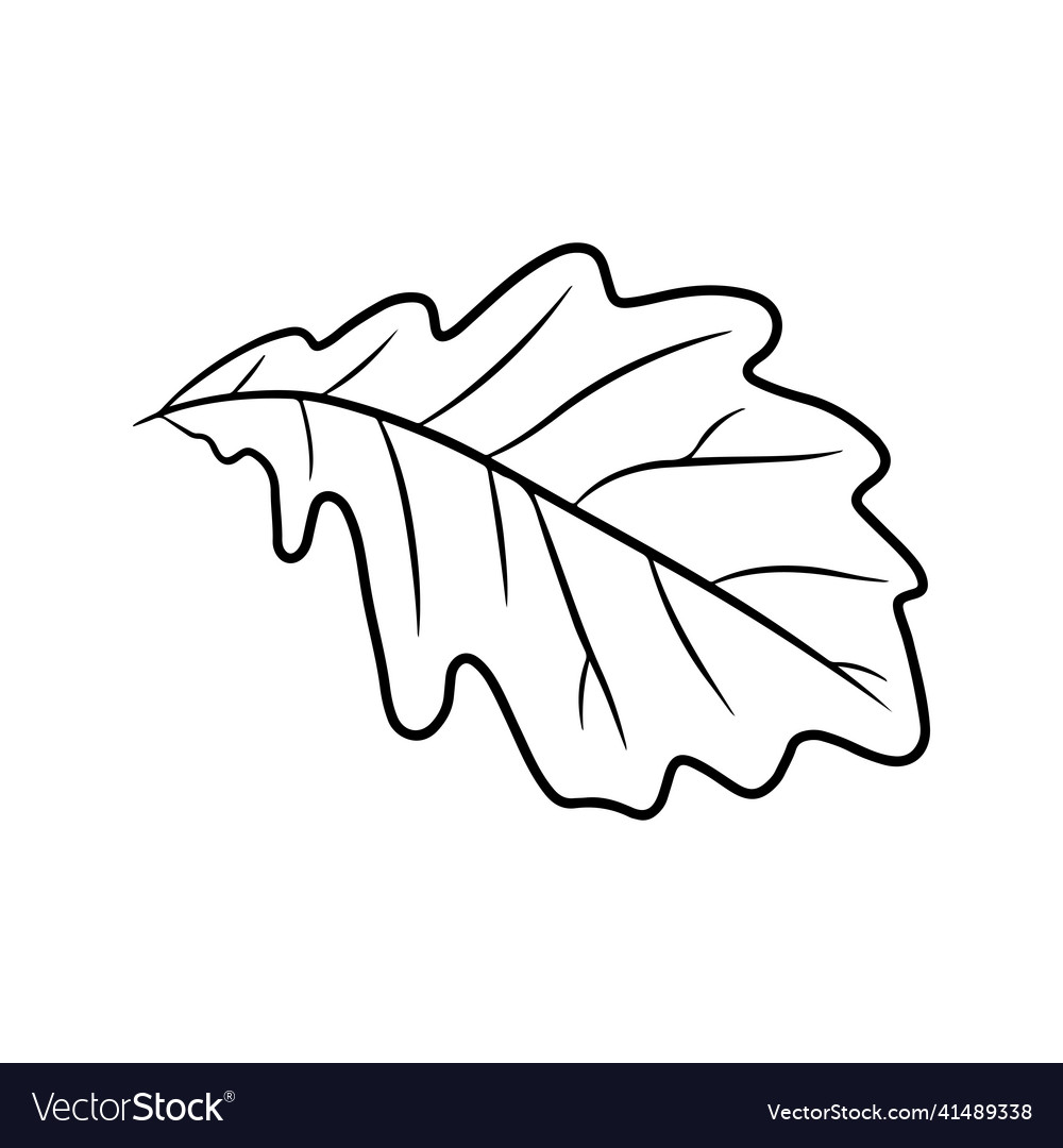 Oak leaf