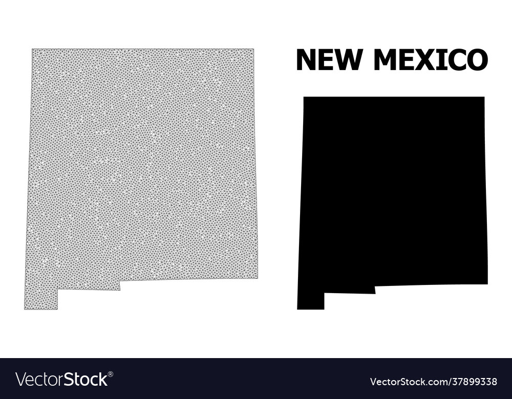 Polygonal 2d mesh high resolution map vector image Polygonal 2d mesh high resolution map