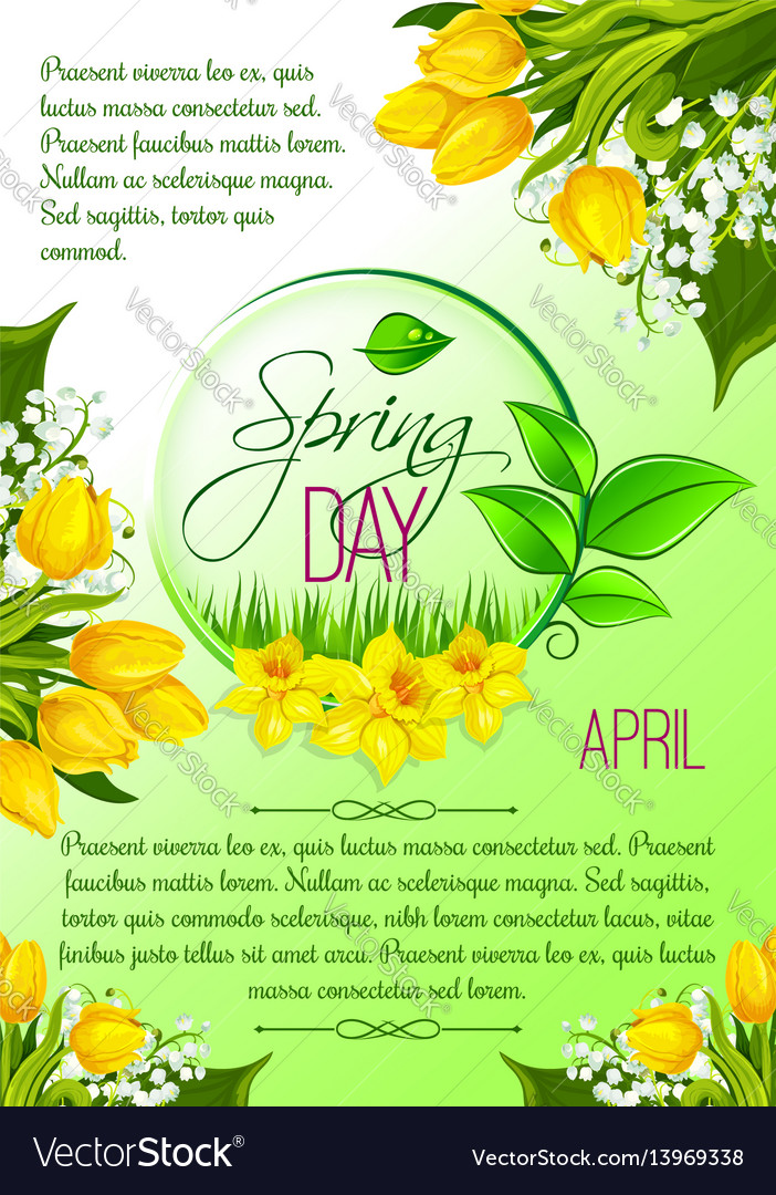 Spring day greeting poster tulip flowers Vector Image