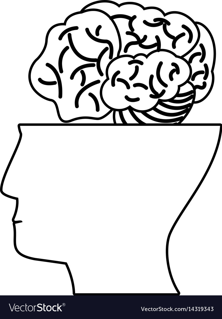 Human head brain think outline Royalty Free Vector Image