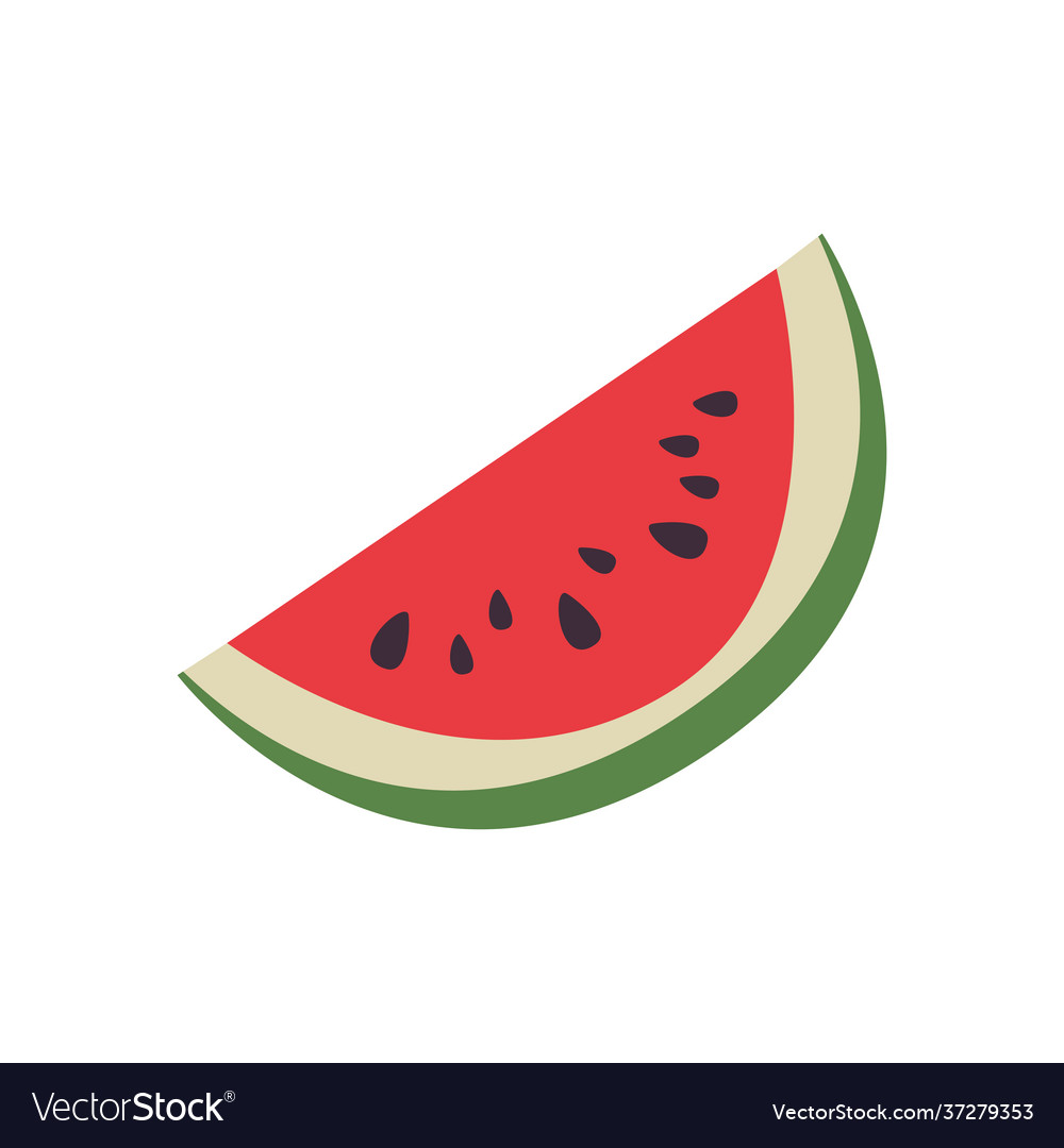 Isolated watermelon fruit Royalty Free Vector Image