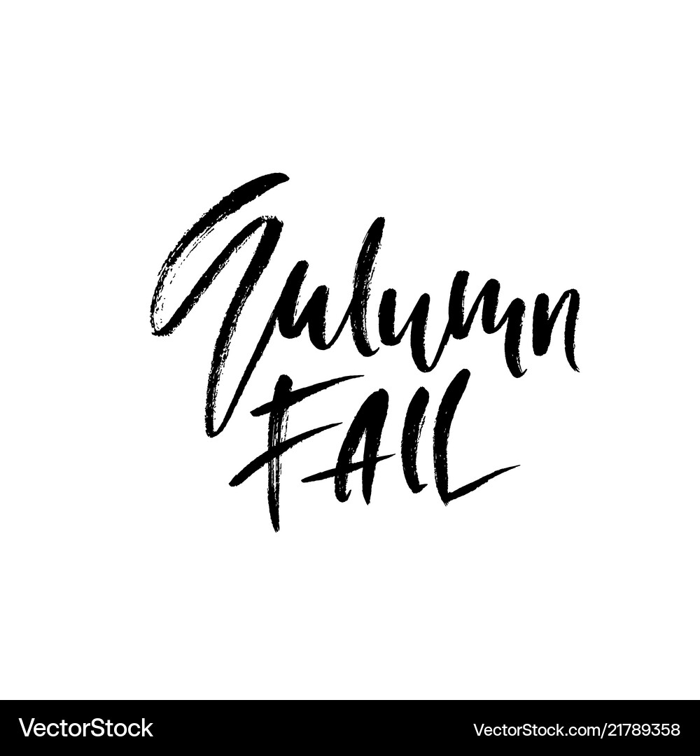 Autumn fall modern brush lettering isolated Vector Image