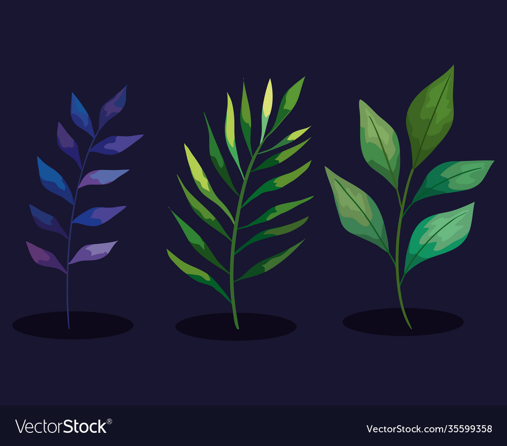 Bundle three branches set icons