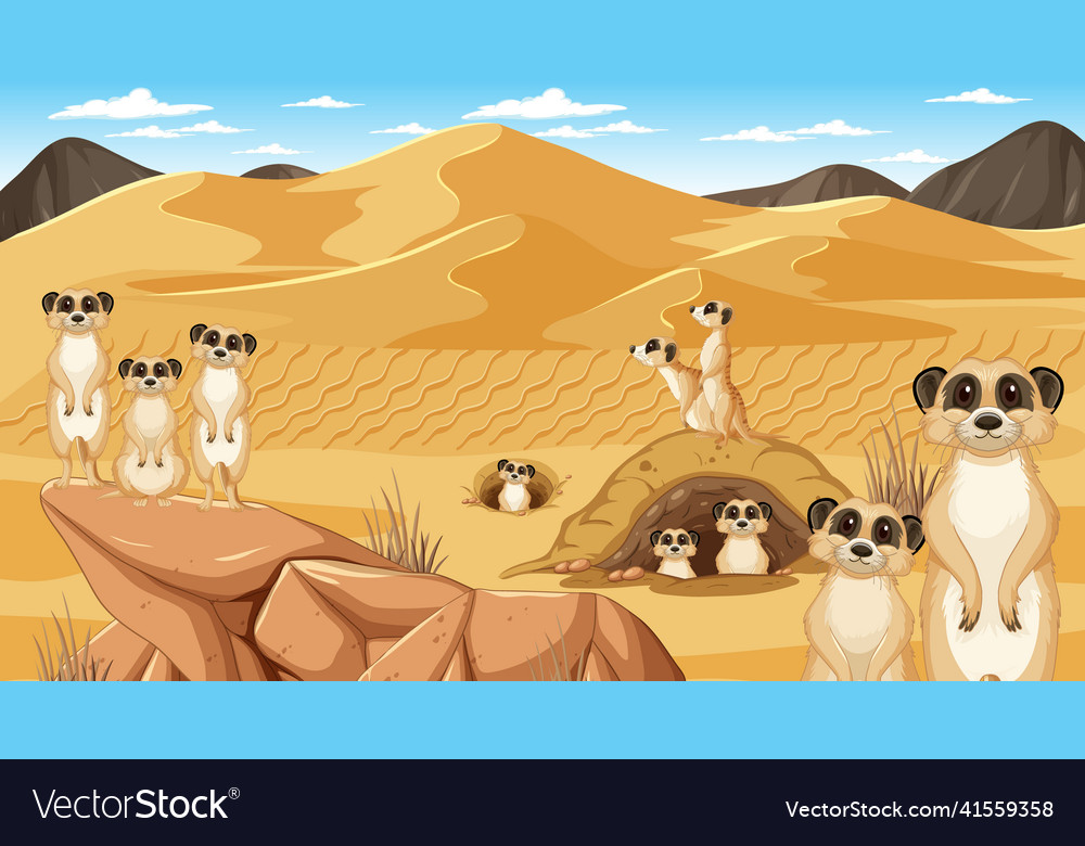 Meerkats in desert forest landscape