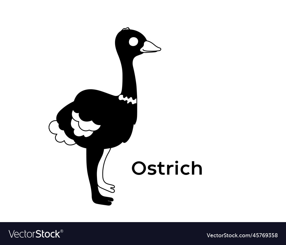 Ostrich isolated silhouettes