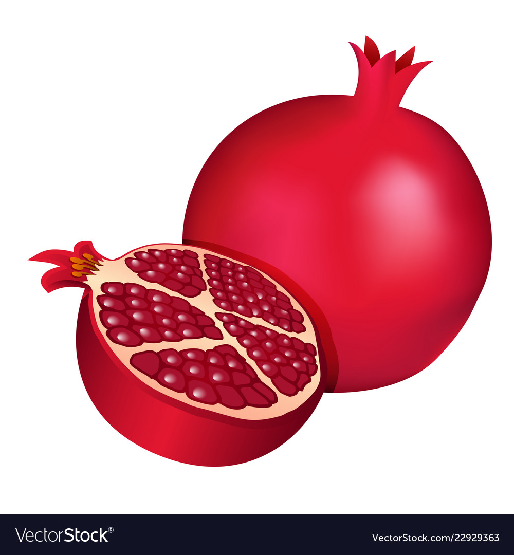 Dark red half pomegranate Royalty Free Vector Image