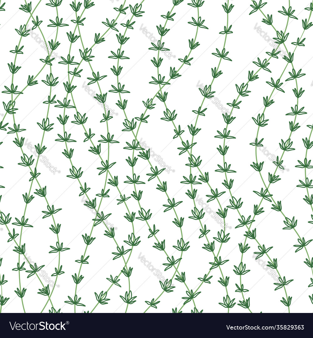 Thyme Branch Pattern