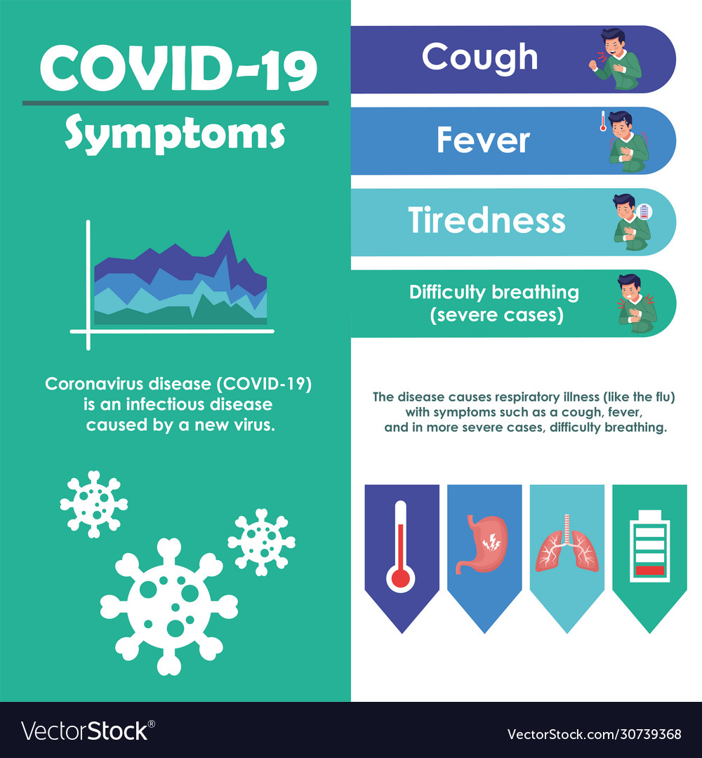 Covid19 infographics with symptoms disease Vector Image