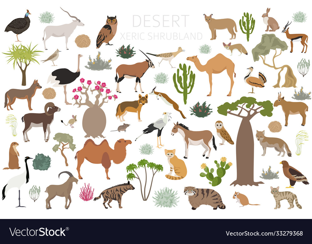 Desert biome xeric shrubland natural region Vector Image