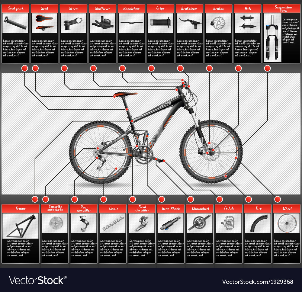 Full suspension MTB Royalty Free Vector Image VectorStock