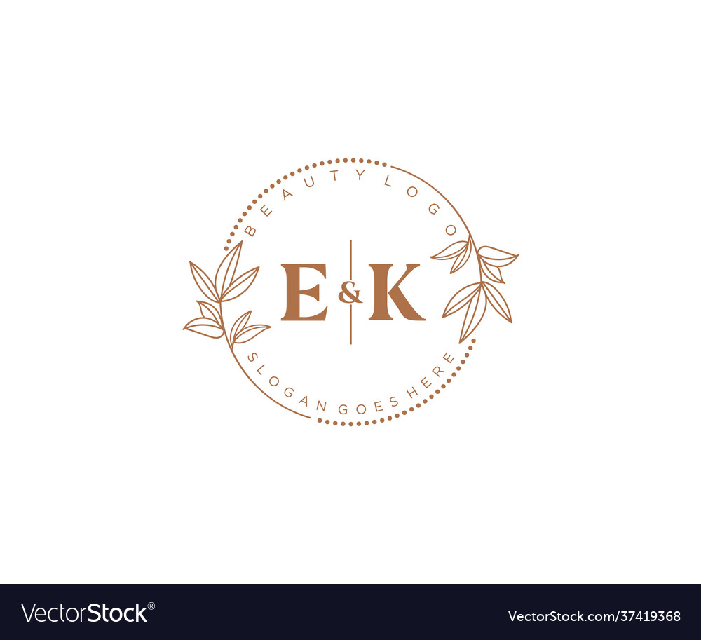 Initial ek letters beautiful floral feminine Vector Image